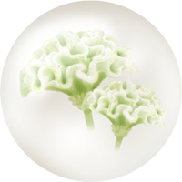 White celosia nectar icon.png