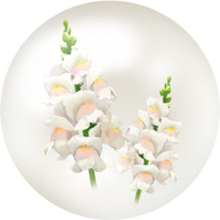 White snapdragon nectar icon.png