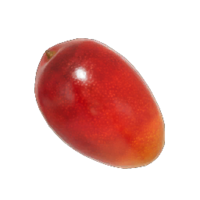 Heroine's Tear P4 icon.png