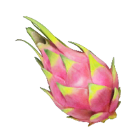 Fire-Breathing Feast P4 icon.png