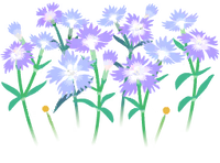 Blue dianthus flowers icon.png